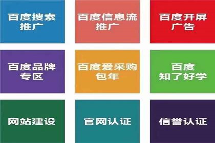 SEM代运营机构案例：关键词优化与广告投放